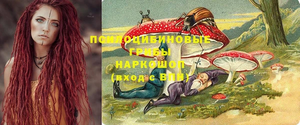 стафф Алексин