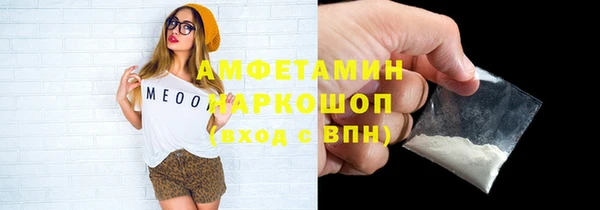 индика Абаза