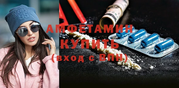 индика Абаза