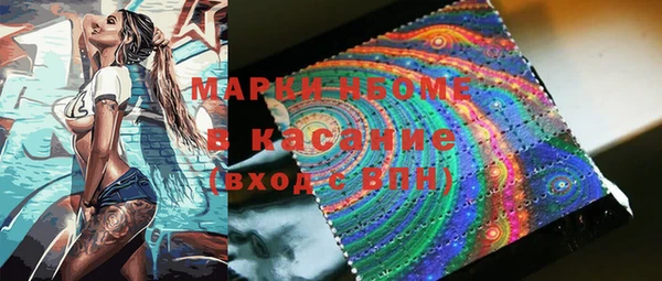 индика Абаза