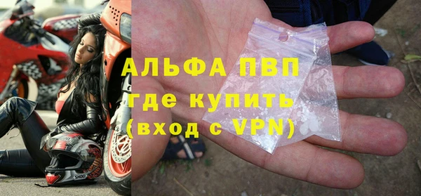 индика Абаза