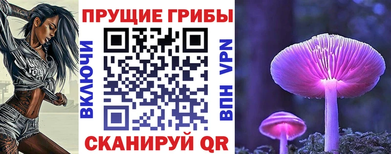 Псилоцибиновые грибы MAGIC MUSHROOMS  где купить наркотик  Егорьевск 