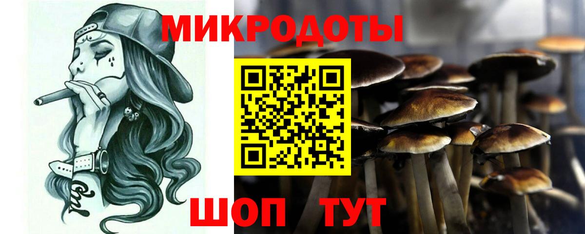 Егорьевск  Псилоцибиновые грибы Psilocybine cubensis  где купить наркоту  Вход с VPN  Псилоцибиновые грибы ЛСД 